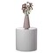 Uniquewise Fiberglass Pillar Column Flower Stand -Photography Props - Cylinder Shape Versatile Pedestal 16 Inch QI004126-16 - alternate 2